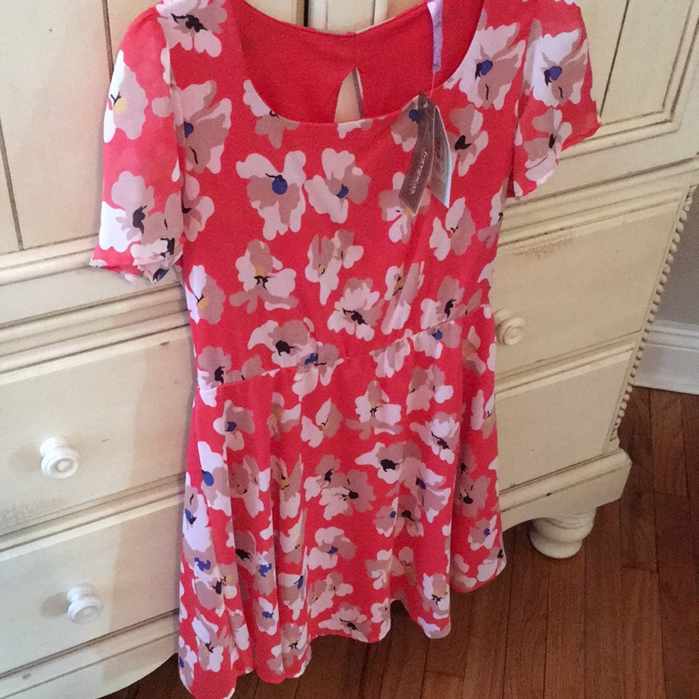 Francesca’s collection - Picture 7 of 8